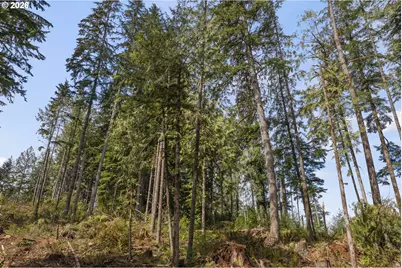 25402 S Schockley Rd, Beavercreek, OR 97004 - Photo 39