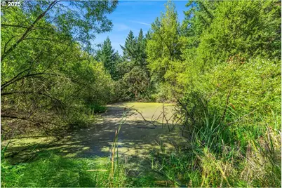 18175 NE Bald Peak Rd, Newberg, OR 97132 - Photo 41