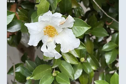 8196 SW Shenandoah Way, Tualatin, OR 97062 - Photo 19