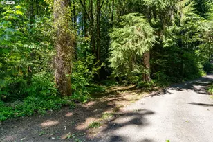 E Zig Zag River Rd, Rhododendron, OR 97049 - Photo 1