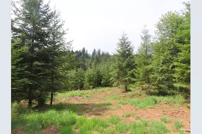 Mill Creek Lane #D, Longview, WA 98632 - Photo 5