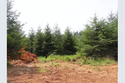 Mill Creek Lane #D, Longview, WA 98632 - Photo 9