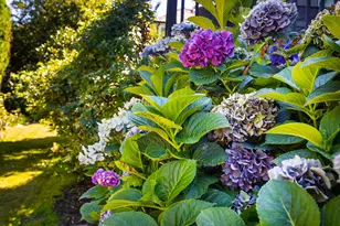 4050 Serango Ct, West Linn, OR 97068 - Photo 37