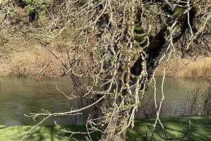 617 SW Monroe St, Sheridan, OR 97378 - Photo 37