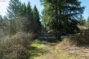 30434 NE Wylie Rd, Camas, WA 98607 - Photo 5