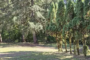 27311 SW Smithville Rd, Sheridan, OR 97378 - Photo 29