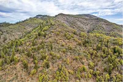Sykes Cr Rd, Rogue River, OR 97537 - Photo 9