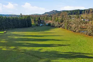 38961 Place Rd, Fall Creek, OR 97438 - Photo 17