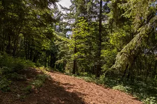 30540 NE Bell Rd, Newberg, OR 97132 - Photo 27