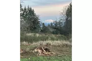 239 Suncrest Dr, Castle Rock, WA 98611 - Photo 1