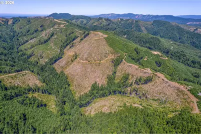 1 State Route 4, Chinook, WA 98614 - Photo 5