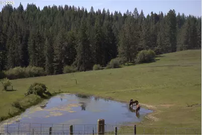55821 Wildhorse Rd, Weston, OR 97886 - Photo 29