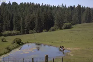 55821 Wildhorse Rd, Weston, OR 97886 - Photo 29