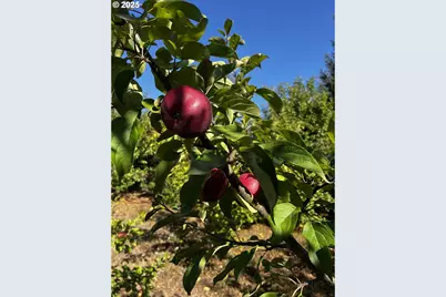 97040 Henderson, Brookings, OR 97415 - Photo 25