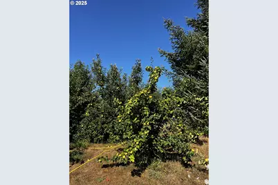 97040 Henderson, Brookings, OR 97415 - Photo 23