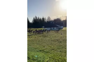 39912 NE 44th St, Washougal, WA 98671 - Photo 43