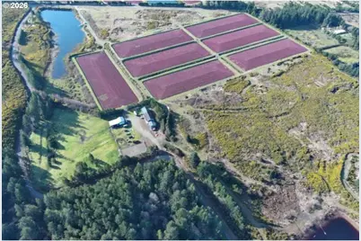 [Address not provided], Port Orford, OR 97465 - Photo 9