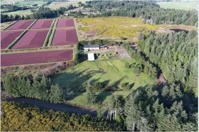 [Address not provided], Port Orford, OR 97465 - Photo 7