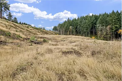 Jaeg, Junction City, OR 97448 - Photo 17