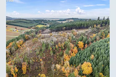 Jaeg, Junction City, OR 97448 - Photo 7