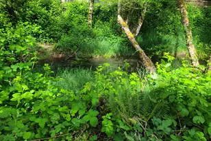 74866 Doan Rd, Rainier, OR 97048 - Photo 15