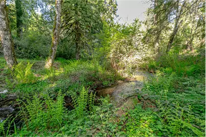42440 SE Wildcat Mountain Dr, Sandy, OR 97055 - Photo 43