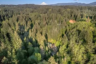 42440 SE Wildcat Mountain Dr, Sandy, OR 97055 - Photo 43