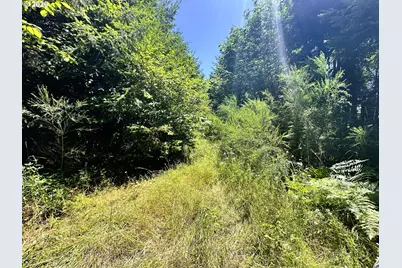 High Pass Rd #TL300, Junction City, OR 97448 - Photo 21