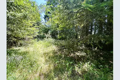 High Pass Rd #TL300, Junction City, OR 97448 - Photo 23