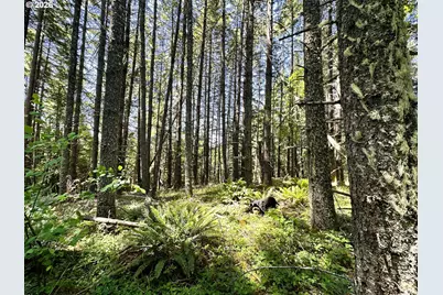 High Pass Rd #TL300, Junction City, OR 97448 - Photo 25