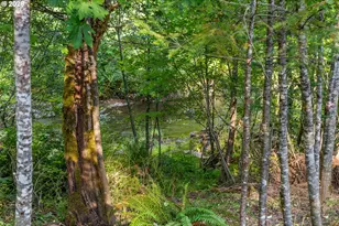 202 Edgewater Dr, Carson, WA 98610 - Photo 25