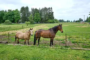 12175 W Stayton Rd, Aumsville, OR 97325 - Photo 47