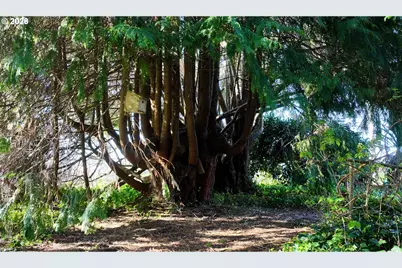 15717 Goshen Ln, Brookings, OR 97415 - Photo 35