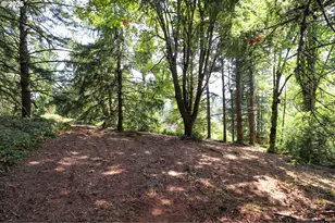 88519 Periwinkle Rd, Springfield, OR 97478 - Photo 45