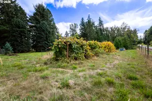 34693 Meridian Rd, Lebanon, OR 97355 - Photo 31