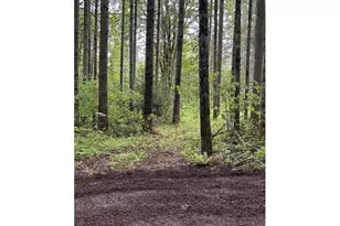 33318 SE Funny Farm Rd, Estacada, OR 97023 - Photo 31