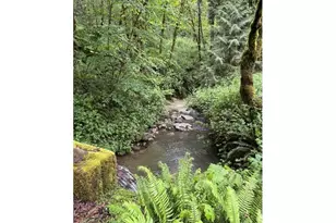33318 SE Funny Farm Rd, Estacada, OR 97023 - Photo 25