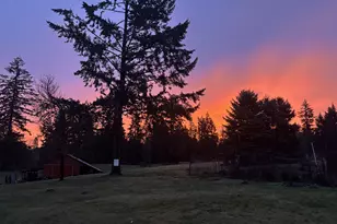 33318 SE Funny Farm Rd, Estacada, OR 97023 - Photo 39