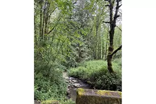 33318 SE Funny Farm Rd, Estacada, OR 97023 - Photo 25