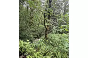 33318 SE Funny Farm Rd, Estacada, OR 97023 - Photo 27