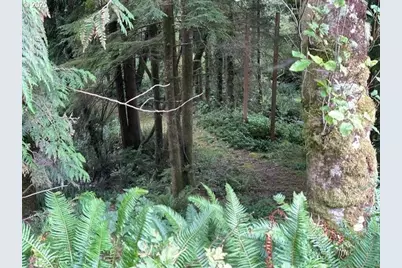 2840 NE Big Creek Rd, Newport, OR 97365 - Photo 9