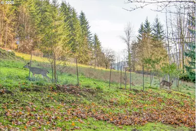 110 Lenora Ln, Kelso, WA 98626 - Photo 13