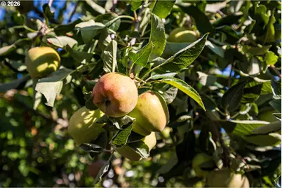 1804 Settlers Spring Dr, Salem, OR 97304 - Photo 33