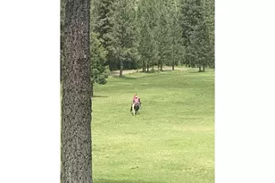 25855 Pine Creek Rd, John Day, OR 97845 - Photo 33