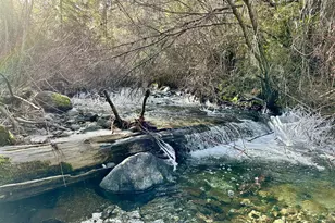 25855 Pine Creek Rd, John Day, OR 97845 - Photo 39