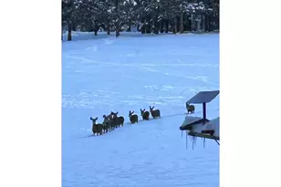 25855 Pine Creek Rd, John Day, OR 97845 - Photo 43