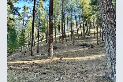 25855 Pine Creek Rd, John Day, OR 97845 - Photo 45