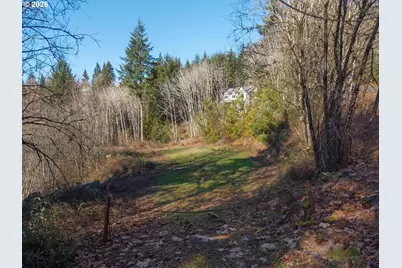 335 Hillsdale Dr, Woodland, WA 98674 - Photo 33