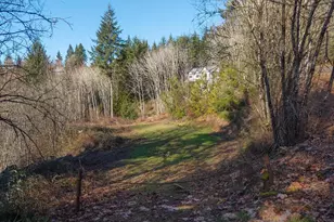 335 Hillsdale Dr, Woodland, WA 98674 - Photo 33