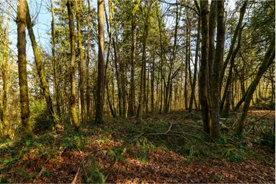 1115 Larch St, Lake Oswego, OR 97034 - Photo 5